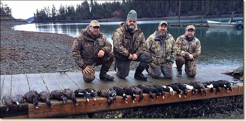 alaska sea duck hunting